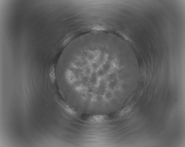 X0000053120479200507251728