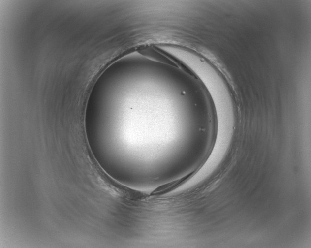 X0000053120481200507251727