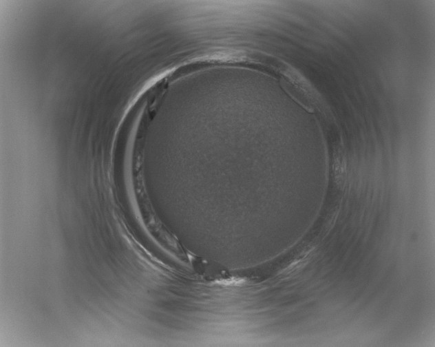 X0000053120484200507251727