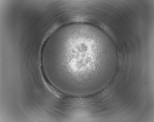 X0000053120486200507251727