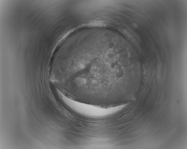 X0000053120487200507251727