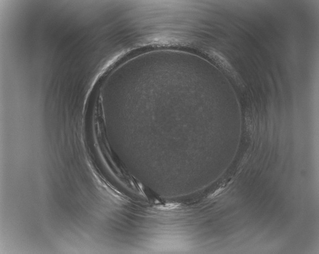 X0000053120488200507251727