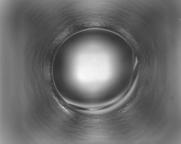 X0000053120489200507251727