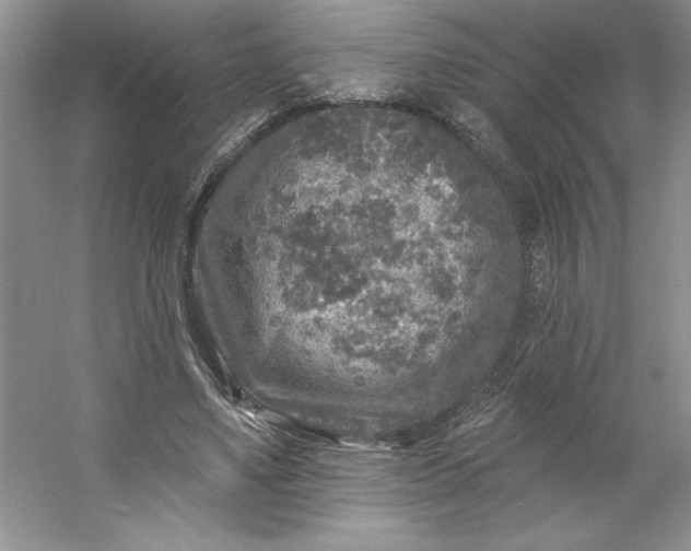 X0000053120491200507251727