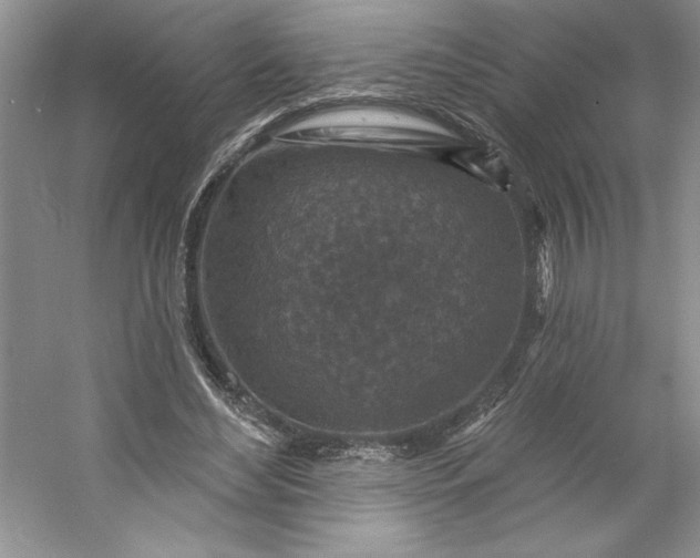 X0000053120492200507251727