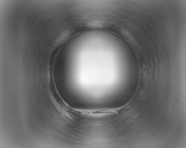 X0000053120494200507251727