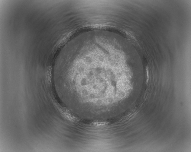 X0000053120495200507251727