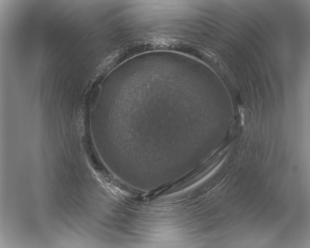 X0000053120496200507251727