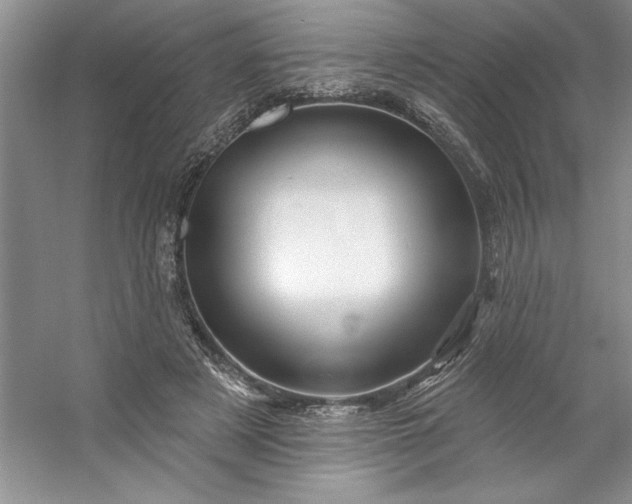 X0000053120497200507251727