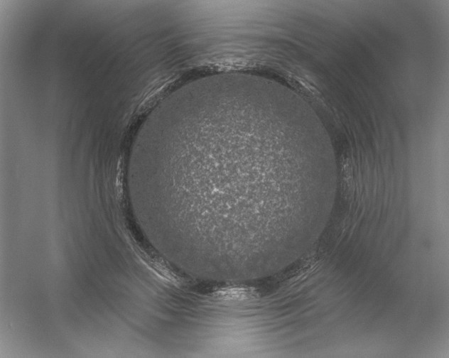 X0000053120499200507251727