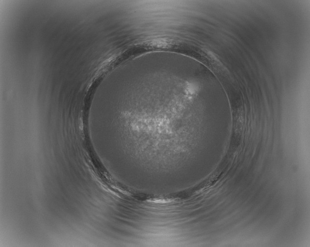 X0000053120500200507251727