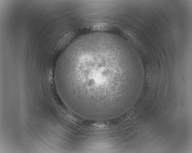 X0000053120502200507251727