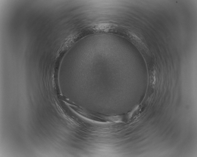 X0000053120504200507251727