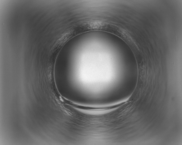 X0000053120505200507251727