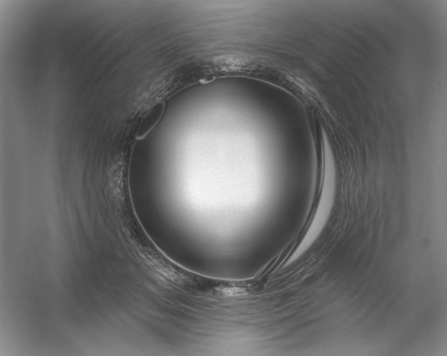 X0000053120509200507251727