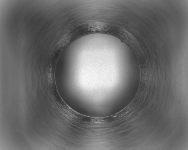 X0000053120510200507251727