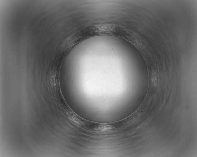 X0000053120514200507251727