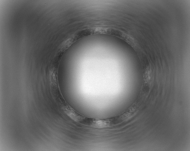 X0000053120522200507251726