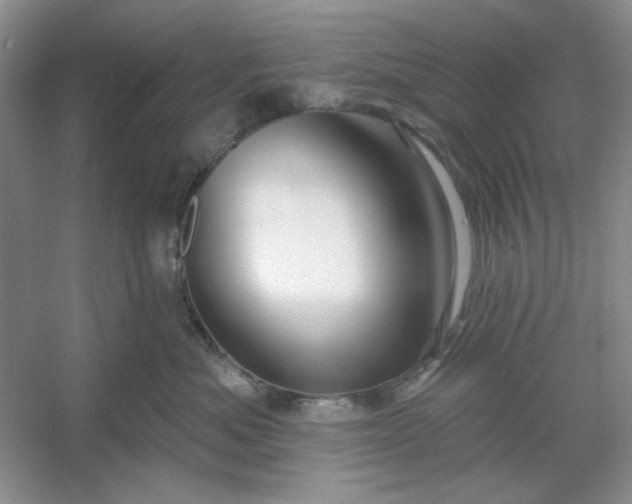 X0000053120525200507251726
