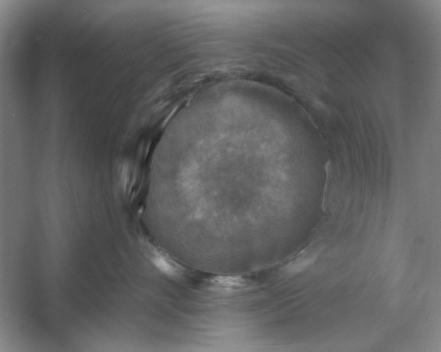 X0000053120528200507251726