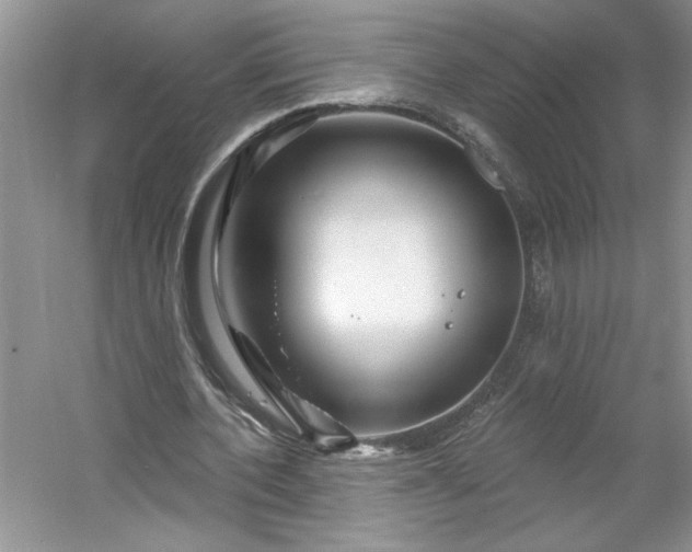 X0000053120532200507251726