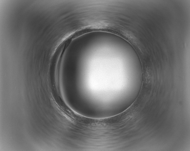 X0000053120535200507251726