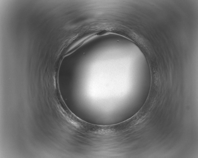 X0000053120537200507251726