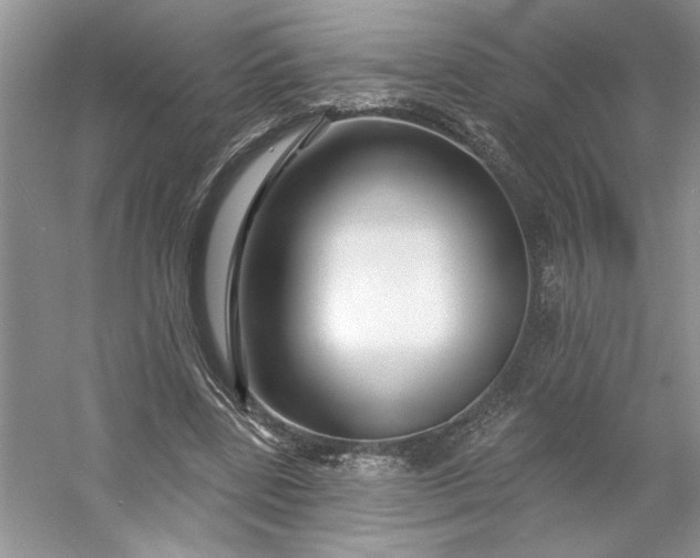 X0000053120539200507251726