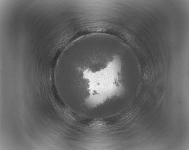 X0000053120551200507251726