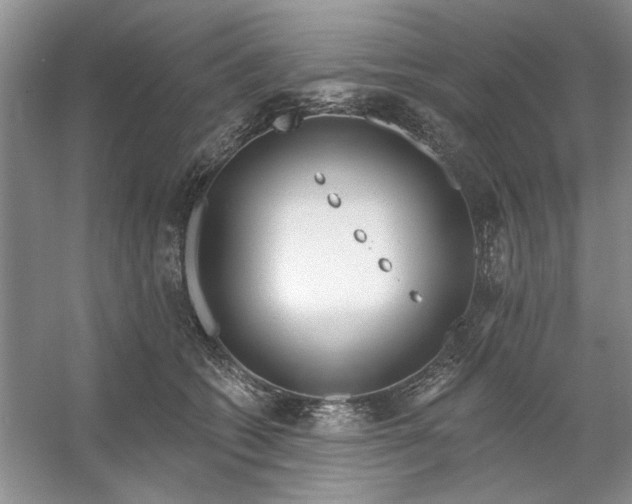 X0000053120562200507251726