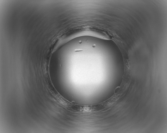 X0000053120565200507251726