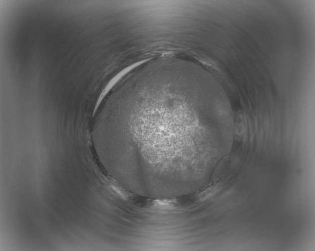 X0000053120573200507251726