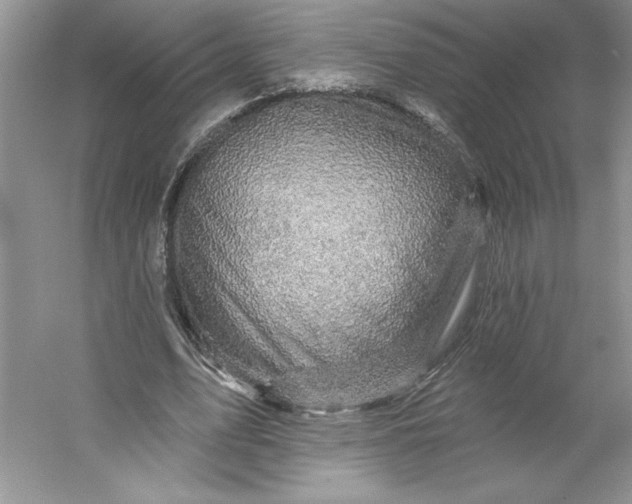 X0000053120583200507251725