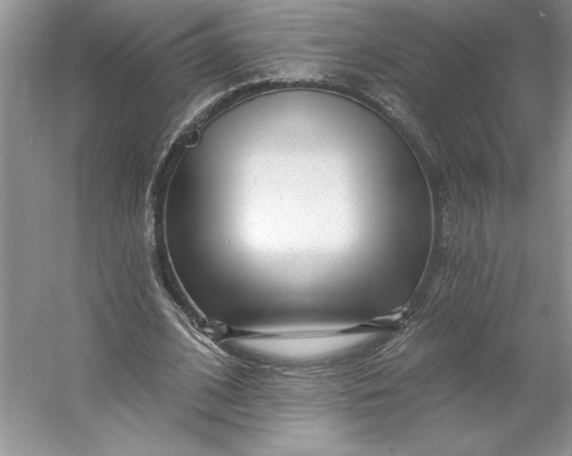 X0000053120584200507251725