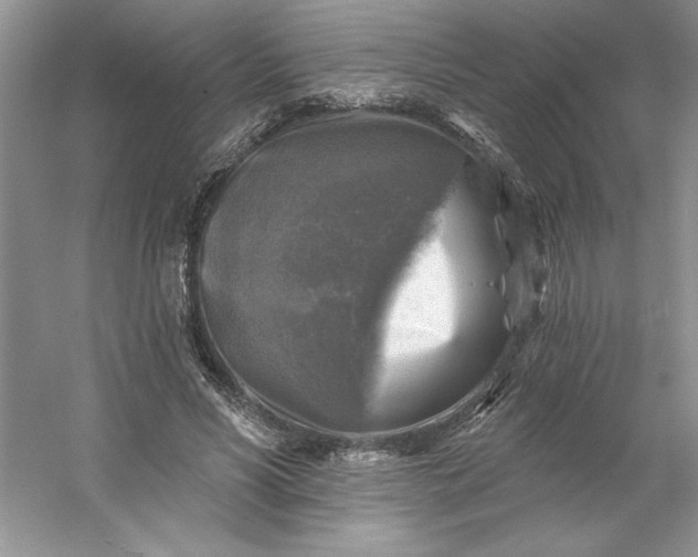 X0000053120590200507251725