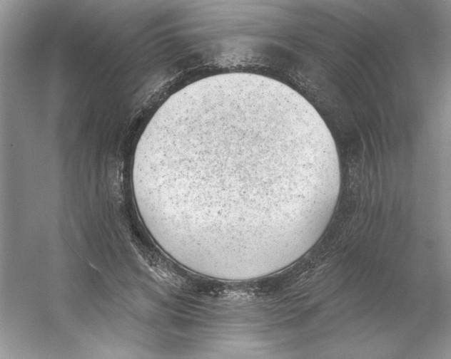 X0000053120592200507251725