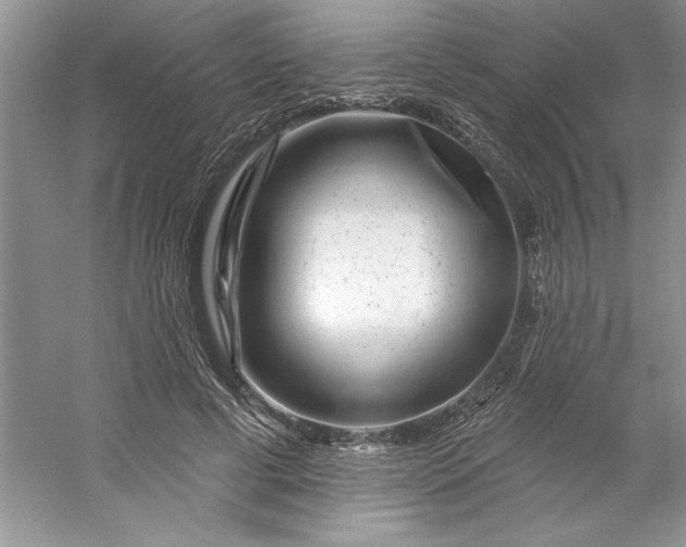 X0000053120593200507251725
