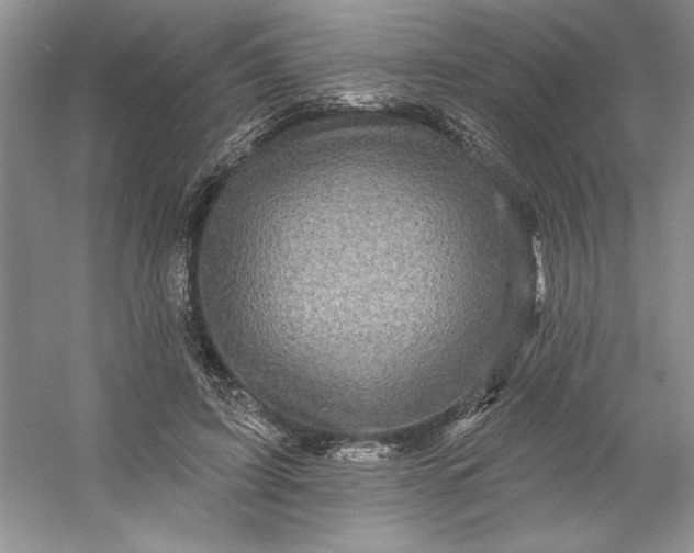 X0000053120595200507251725