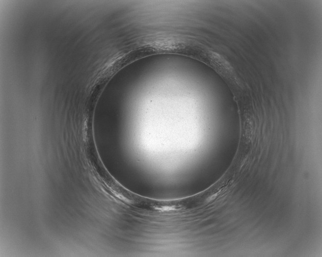 X0000053120596200507251725