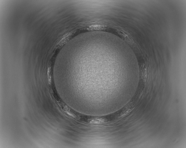 X0000053120599200507251725