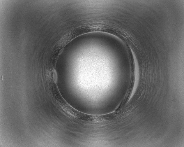 X0000053120601200507251725