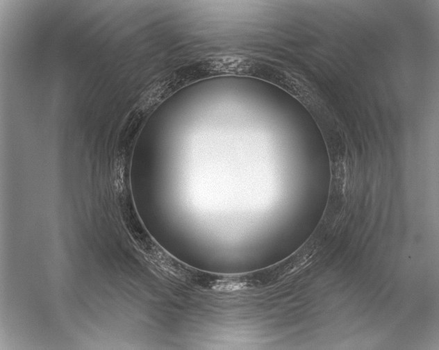 X0000053120602200507251725