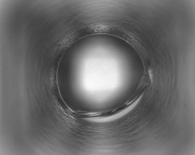 X0000053120604200507251725