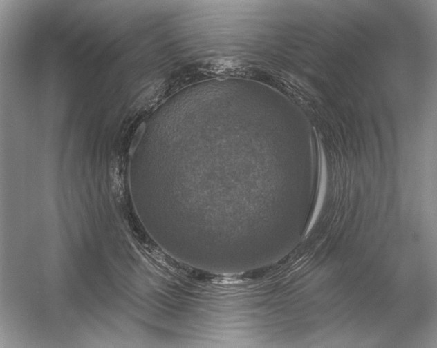 X0000053120607200507251725