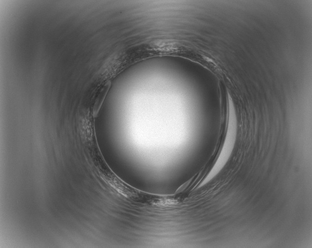X0000053120609200507251725