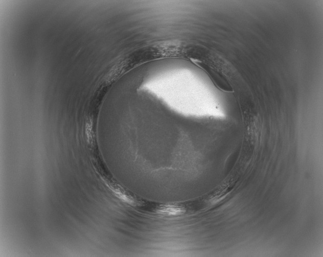 X0000053120610200507251725