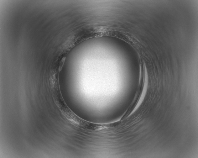 X0000053120611200507251725