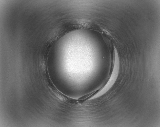 X0000053120613200507251725