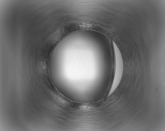 X0000053120614200507251725