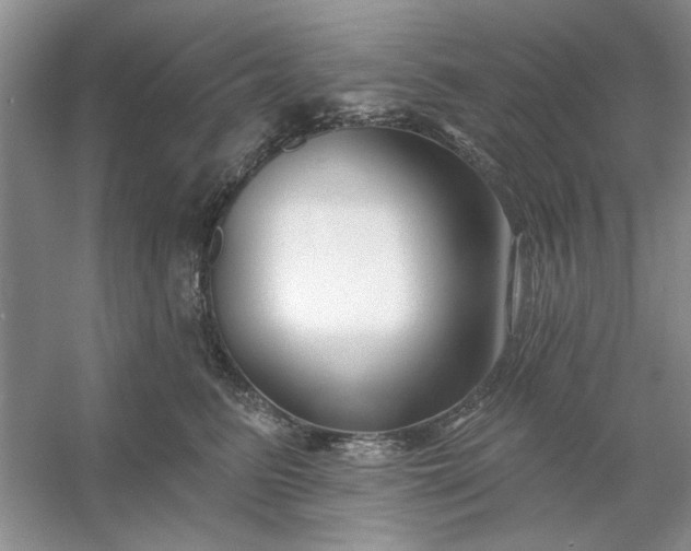 X0000053120615200507251725